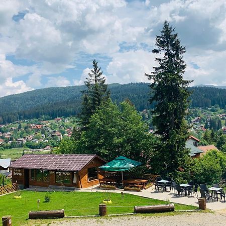 Casa Belcin Spa&Retreat Buşteni Dış mekan fotoğraf