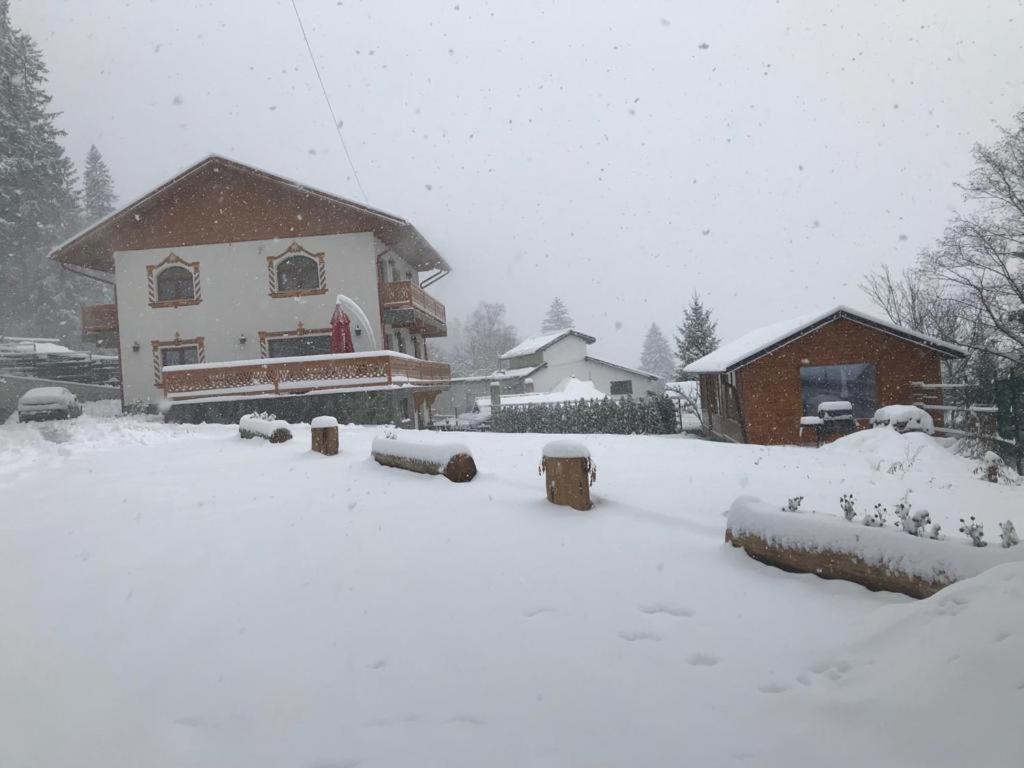 Casa Belcin Spa&Retreat Buşteni Dış mekan fotoğraf