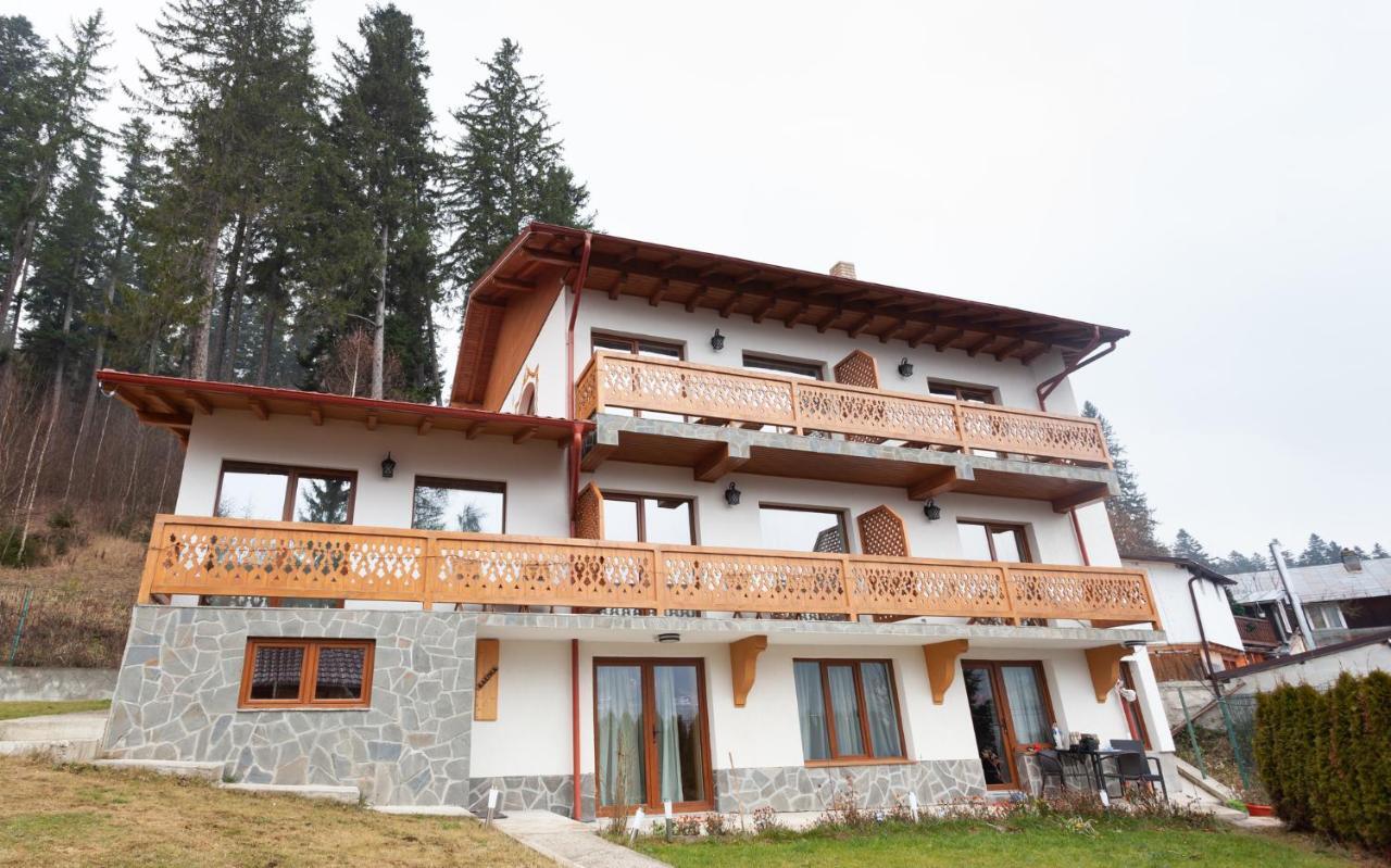 Casa Belcin Spa&Retreat Buşteni Dış mekan fotoğraf